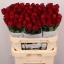 product/img.floraplaza.nl/RMAD8-LIVE_fotos-0x82FD1D1882D6FEF43DEE9E8C74EE5658FA5F8A72.jpg