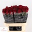 product/img.floraplaza.nl/RMAD8-LIVE_fotos-0xB8BD43C989D7BCB371A72CB1070450FB5F5EB33D.jpg