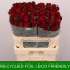 product/img.floraplaza.nl/RMAD8-LIVE_fotos-0xF0DF20E160A090E71F9E985957632D8EB3827691.jpg