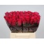 product/img.floraplaza.nl/RMADCER4-LIVE_fotos-0x9B4B005689C7709DC5AD9A69BC2E4770C8E26A36.jpg