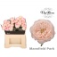 product/img.floraplaza.nl/RMANP4-LIVE_fotos-0xE1A55E7C59971BAC45E734C8F919AE100BEFCAB3.jpg