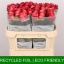 product/img.floraplaza.nl/RMAT7-LIVE_fotos-0x4AC57D0481E3EAACFDA84728AEBBA27AA9010ADA.jpg