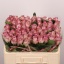 product/img.floraplaza.nl/RMEM5-LIVE_fotos-0xADD4CCC8916FCD595FA60A697A2B8784137A7449.jpg