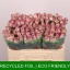 product/img.floraplaza.nl/RMEM5-LIVE_fotos-0xFACF70695569359EA42578353A07C5962C62EA72.jpg