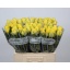 product/img.floraplaza.nl/RMINR6-LIVE_fotos-0xEB4127264CA6627F8DDF22F70C14AF371289B79C.jpg