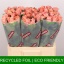 product/img.floraplaza.nl/RMIS6-LIVE_fotos-0xA612FE36E537F4F14EAE6DEA44B94F206BB582FB.jpg