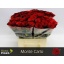 product/img.floraplaza.nl/RMON4-LIVE_fotos-0xFD7E47CB686D63DFCA5CD5280D6DCCD4C903CC6A.jpg