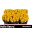 product/img.floraplaza.nl/RMOO5-LIVE_fotos-0xC35D455188BA711A4ABC037E9E9F380D8975BF9A.jpg