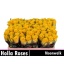 product/img.floraplaza.nl/RMOO5-LIVE_fotos-0xD589AC7F0C9F1F6F7AB791AFE96BCCD949A4CDCC.jpg