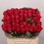 product/img.floraplaza.nl/RMOV4-LIVE_fotos-0x1ADABCB0B1F4EE2E0B738A3DFF60D2AAB3F9F808.jpg