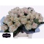 product/img.floraplaza.nl/RMYL4-LIVE_fotos-0xE2BF60F6E0125EAC175FDAF49C15FC1A404B8620.jpg