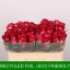 product/img.floraplaza.nl/RNIC5-LIVE_fotos-0x23D86A798BB1091004CE4AAA1E7E47E1F996BDDC.jpg