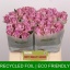 product/img.floraplaza.nl/RNIGH4-LIVE_fotos-0xB99D0EA03BC66E731931F2AE4988827D6A303035.jpg