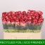 product/img.floraplaza.nl/RPAL5-LIVE_fotos-0xF4EF0E3B90F27852C5799864F284E82CBD6232F0.jpg