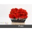 product/img.floraplaza.nl/RPAT4-LIVE_fotos-0x266D5761D4E90B7C17BF65C7E64FBC4EF9D447E2.jpg