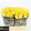 product/img.floraplaza.nl/RPEN4-LIVE_fotos-0xEE98ABF0F0CE3E0CD50DEE4E825A40FAD156E9D3.jpg