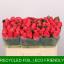 product/img.floraplaza.nl/RPIN5-LIVE_fotos-0x023F1B5FFBCE5E4670BBFD7F55DC6C7338FB3076.jpg
