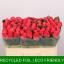 product/img.floraplaza.nl/RPIN5-LIVE_fotos-0x595DBEDA8EFC95A6E72EF54ABC743D2264334C7A.jpg