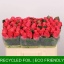 product/img.floraplaza.nl/RPIN5-LIVE_fotos-0x667F2C65CF80E08B83ABBADEEAE9C3398CB3376A.jpg