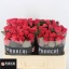 product/img.floraplaza.nl/RPIN5-LIVE_fotos-0xC2638223B3AF9D68BA68E5C3C1C5A73B57715F7F.jpg