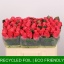 product/img.floraplaza.nl/RPIN5-LIVE_fotos-0xC8E2984E8F6198080770F112207A7025F6A0C695.jpg