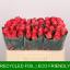 product/img.floraplaza.nl/RPIN5-LIVE_fotos-0xDC8DF0E6EDBCAF8C6B335E457DBC9B5A094B7846.jpg