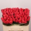 product/img.floraplaza.nl/RPIN5-LIVE_fotos-0xE9039E28BA928A8CCB186ECAD7F1F1FC17BF46B8.jpg