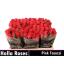 product/img.floraplaza.nl/RPIN5-LIVE_fotos-0xF8596FBFB5C8CE0D5D62DDEE3FB55AF2D5D5C53F.jpg