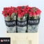 product/img.floraplaza.nl/RPIN6-LIVE_fotos-0x3856EA7875FFA9FFEA39F1751E573384E4ED8529.jpg