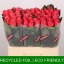 product/img.floraplaza.nl/RPIN6-LIVE_fotos-0xBFB657797C6CF37228CE1B3F17186EFFB33C5FA2.jpg