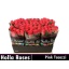 product/img.floraplaza.nl/RPIN6-LIVE_fotos-0xDFEF5DE9789685A7C43833687275BB0950C5FE4B.jpg