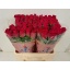 product/img.floraplaza.nl/RPIN6R-LIVE_fotos-0x08B5349C3BD0AA84537B8BB810697AAF61DB770B.jpg