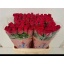product/img.floraplaza.nl/RPIN6R-LIVE_fotos-0x7B641A4A938CEA6401B2B70DC3B92664A0AF6FCB.jpg