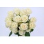 product/img.floraplaza.nl/RPLAB5-LIVE_fotos-0xF67DB31310D361839D3ADE38EB327E21AFDBEBD5.jpg