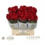 product/img.floraplaza.nl/RRED55N-LIVE_fotos-0x1DE966A7EE2DF89F9A7606742774D224FF384011.jpg