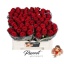 product/img.floraplaza.nl/RRED5N-LIVE_fotos-0x399BEEC9CC4FF7A0B2DC72538DD7598A36F3336E.jpg