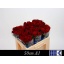 product/img.floraplaza.nl/RRED5N-LIVE_fotos-0x4CB37B3D382BC81A4A4F0B944E0CA814CC114355.jpg