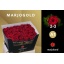 product/img.floraplaza.nl/RRED6N-LIVE_fotos-0xC96F26AFF58A60E52370EDF4DEA89CA22FDB2C14.jpg