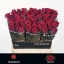 product/img.floraplaza.nl/RRED6N-LIVE_fotos-0xF49B293B6119DB07F5DCCF442B27630BBDD66F59.jpg