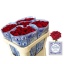 product/img.floraplaza.nl/RRED7-LIVE_fotos-0x48A1C5DFE7BDBF0DB696A2D526C28F6AA40BB186.jpg