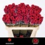 product/img.floraplaza.nl/RREDN7-LIVE_fotos-0xE4C083D1C93769B472DEDE03F1DA1E2F0B85EF05.jpg