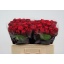 product/img.floraplaza.nl/RRHO5-LIVE_fotos-0x9799D2F4A7C4DE14D6E61DBEE048A3CA725AAF47.jpg