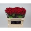 product/img.floraplaza.nl/RRHO7-LIVE_fotos-0x1F5F8FE0D2B5E407E4499F23B80E47D025B201DA.jpg