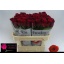 product/img.floraplaza.nl/RRHO7-LIVE_fotos-0xD8B6CB2B9768B94A86117D47F09FD2901845040F.jpg