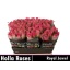 product/img.floraplaza.nl/RROY6-LIVE_fotos-0x2992C7FE0D0882EF8698847A361ACFF2E9999724.jpg