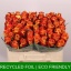 product/img.floraplaza.nl/RSILA5-LIVE_fotos-0x3ABAF5F35CD0F5771EF29ACD4EF99ADA1BFF83C1.jpg