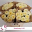 product/img.floraplaza.nl/RSOLH6-LIVE_fotos-0x3CDAF4ED09781E2E0B71DFE64FC5A15AED8FD127.jpg