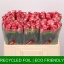 product/img.floraplaza.nl/RSPAC5-LIVE_fotos-0xBC665182DD515D170C3335AD8F5271414602DA47.jpg