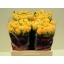 product/img.floraplaza.nl/RSPH6-LIVE_fotos-0xE48E8D5A0DBACD5573961A683055AACEA0A30686.jpg