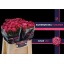 product/img.floraplaza.nl/RSUS4-LIVE_fotos-0xA790D5B86A89836D20681F764006ED01CE271D6B.jpg